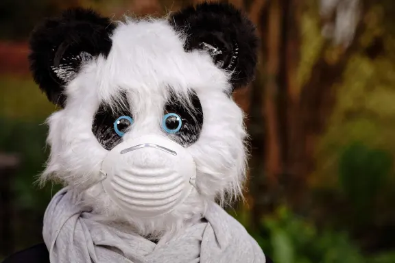 NoxWin Casino Ondersteuning